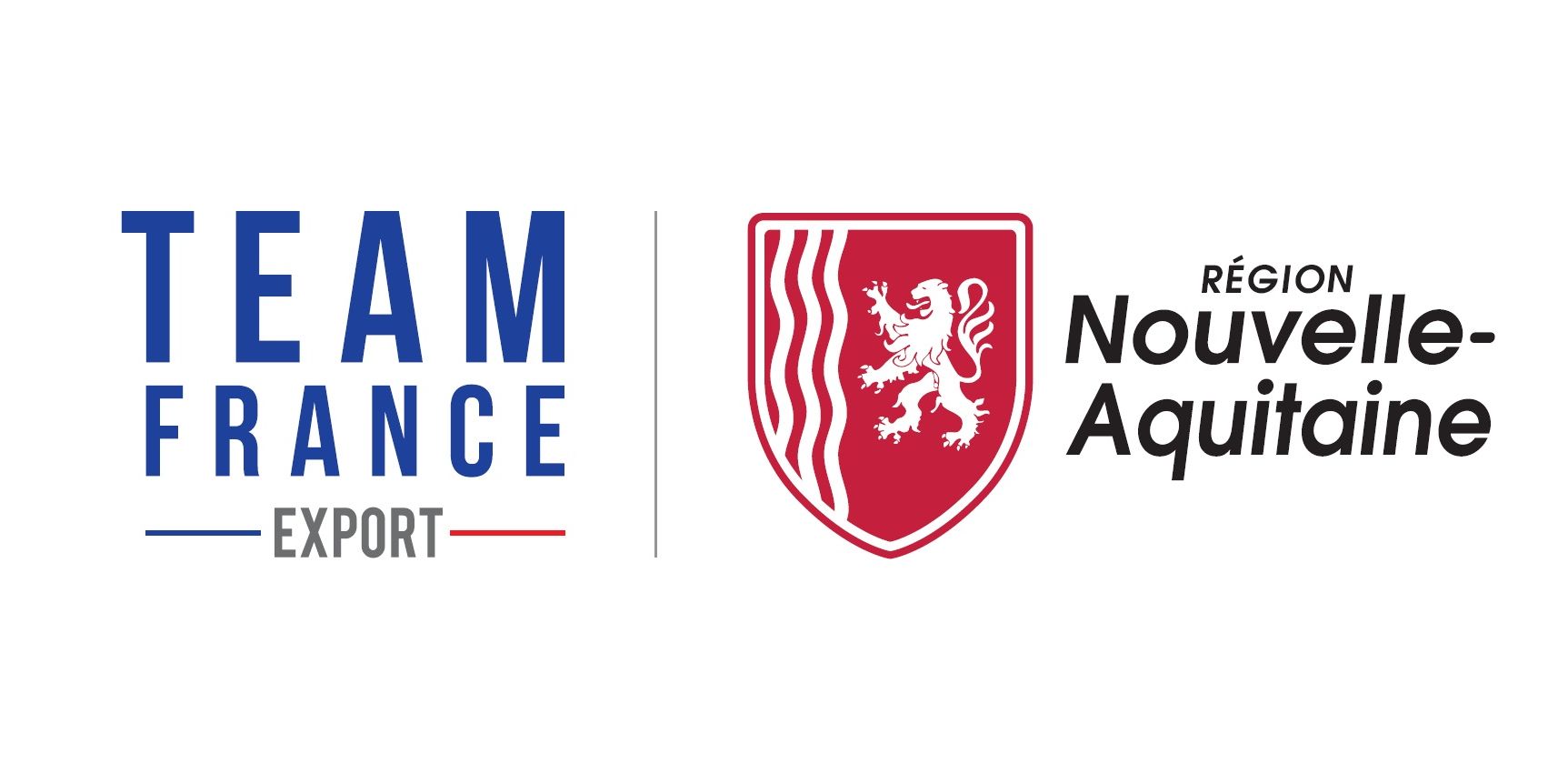 TeamFranceExport-Region Parcours Export International